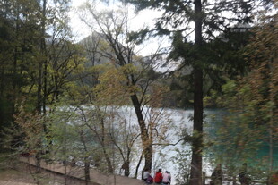 湖畔林间的游人漫步景致