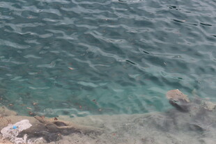 清澈湖水与岸边岩石