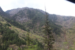 山峦葱郁的自然美景