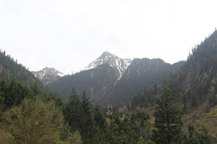 山林间的巍峨雪山景观