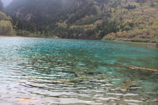 清澈蓝绿湖水的自然美景