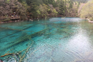 清澈蓝绿色的美丽自然水域