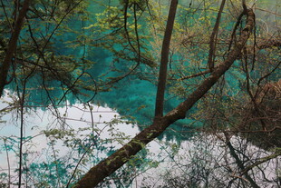 春日湖景与繁花相映