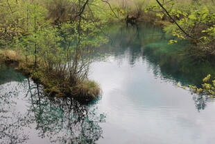 山间清澈溪流美景