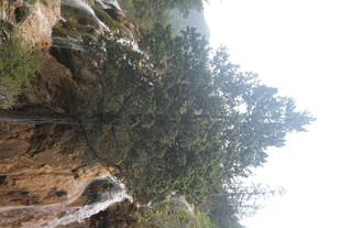 山间绿树瀑布自然美景