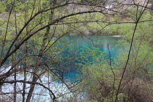 山间幽蓝湖水与繁茂草木