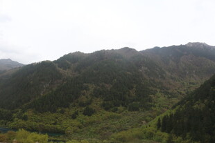 山峦叠翠的自然美景