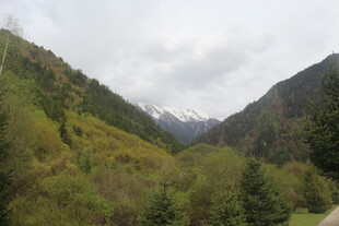 山间绿意盎然的秀丽景色