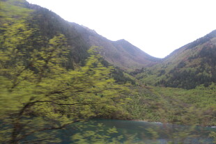 山间幽湖 绿意盎然之景