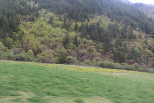 绿野山林间的自然景致