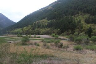 山间开阔草地与葱郁山林