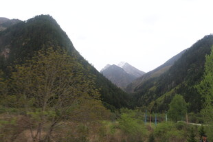 山间美景 绿意盎然的山谷