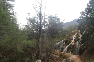 山间小径旁的树木与岩石