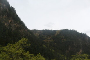 青山绿树的山间景致