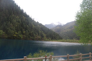 山间幽蓝湖泊与木栏景致