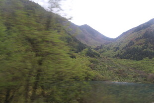 山间绿水畔的秀丽景致