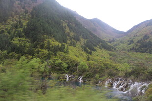 山间溪流穿林而过