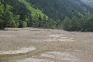 山间开阔的浅滩地貌景观