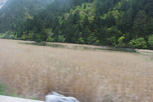 山间广袤金黄草地景观