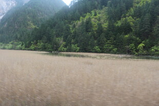 山间开阔草地景色