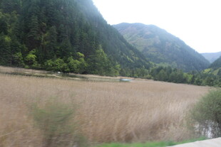 山间开阔草地风景