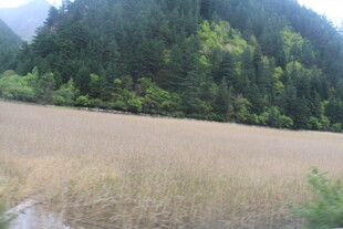 山间开阔草地自然景致