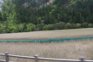 湖畔木栏 自然宁静景致