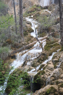山间溪流潺潺 绿意盎然