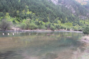 山间清澈湖水景色