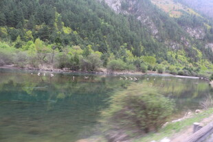 山间清澈河流与葱郁树林