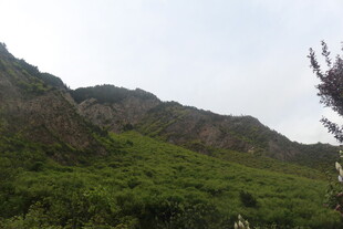 青山绿意盎然的自然景致