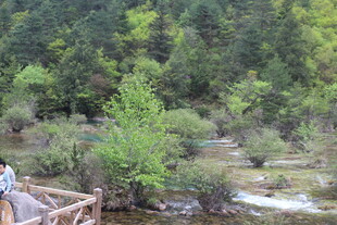 山间溪流旁的木质栈道