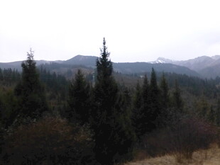 山林景致 远处山峦隐约