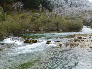 山间湍急溪流风景