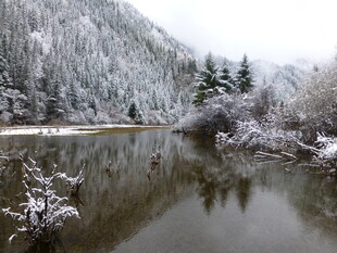 冬日雪覆山林中的静谧湖水