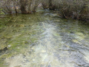 山间清澈溪流潺潺流淌