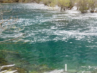 清澈溪流 展现自然之美