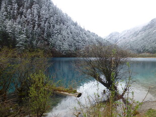 雪覆山林中的静谧湖泊