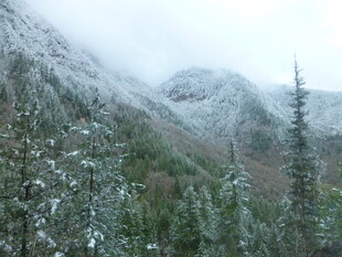雪覆山林的静谧自然景观