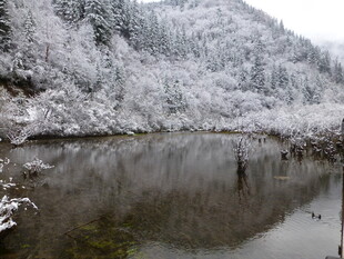 雪覆山林间的静谧湖泊