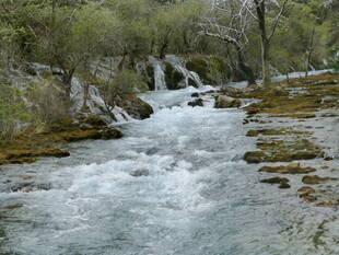 山间溪流潺潺流淌