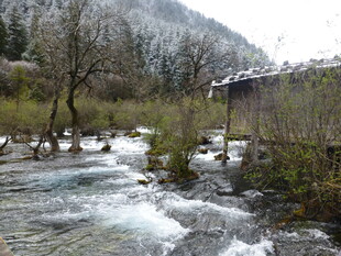 山间溪流旁的古朴景致