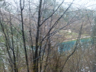 冬日树林中的朦胧彩虹