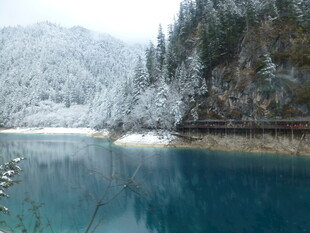冬日雪覆湖畔的幽美景致