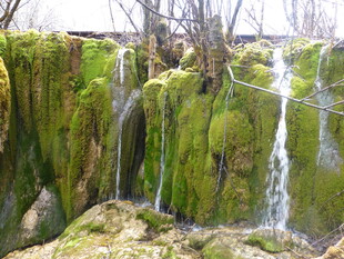 青苔覆盖的山间小瀑布