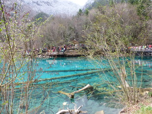 九寨沟的清澈蓝绿色湖水