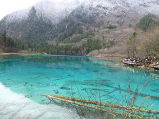 九寨沟绝美蓝湖风光