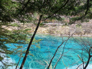 清澈蓝湖映山林