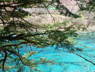 蓝绿色湖水与林间美景