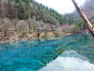 梦幻蓝湖 山林间的自然美景